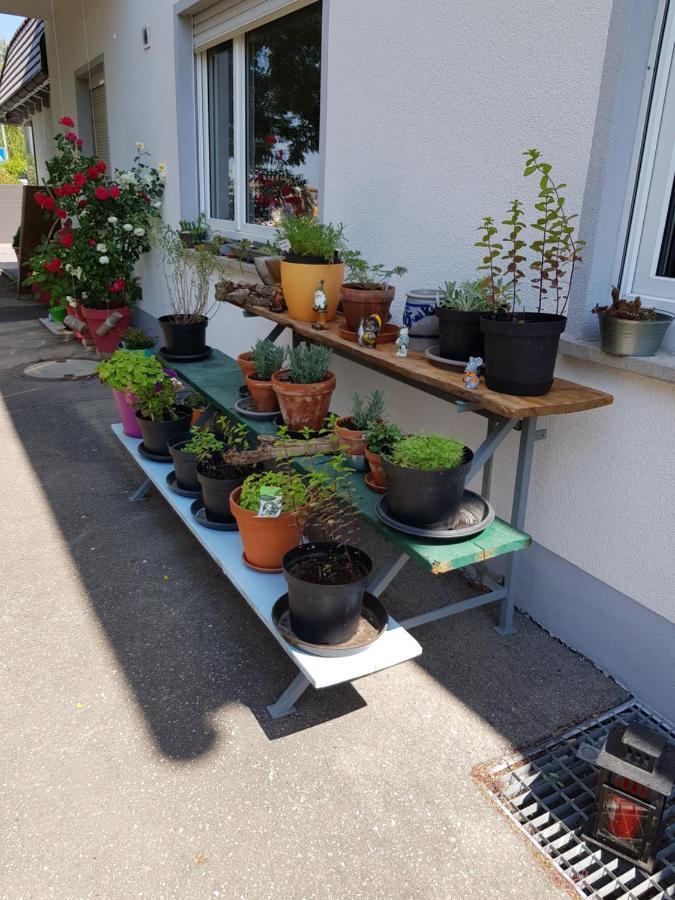 Ferienwohnung Namaste ランゲナルゲン エクステリア 写真